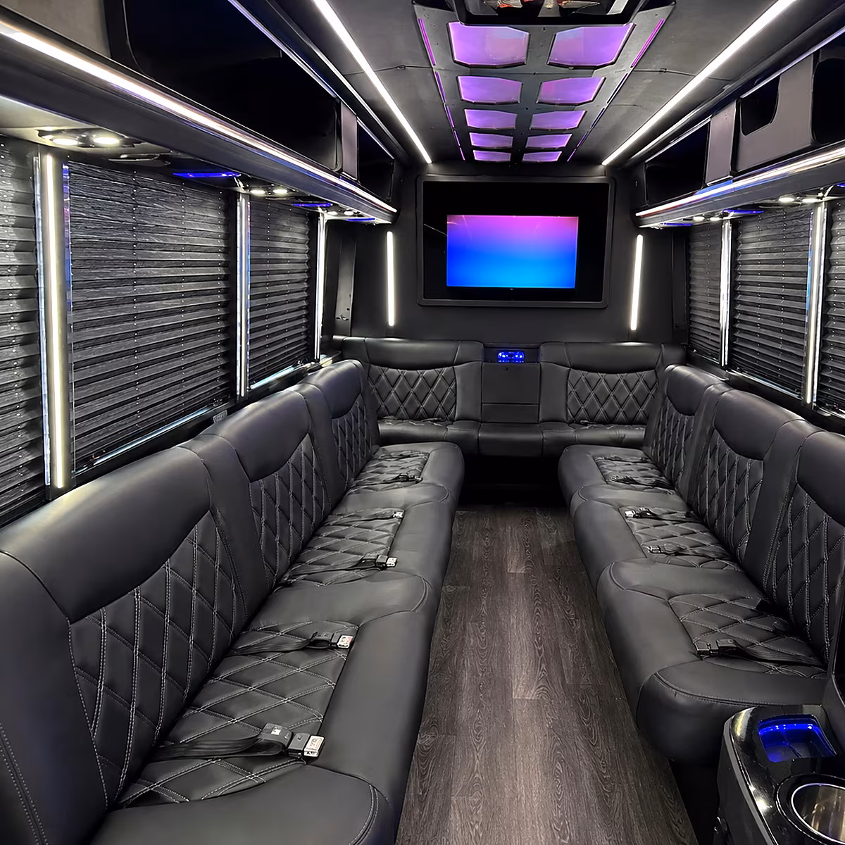 chula vista party bus rental interior